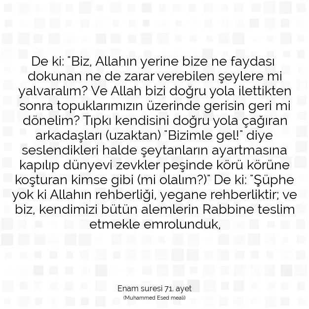 Ayetbul | Kuran Mealleri | Quran | Enam suresi 71. ayet