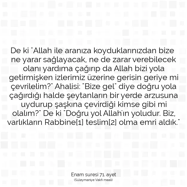 Ayetbul | Kuran Mealleri | Quran | Enam suresi 71. ayet