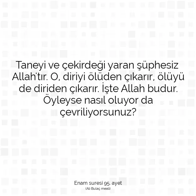 Ayetbul | Kuran Mealleri | Quran | Enam suresi 95. ayet