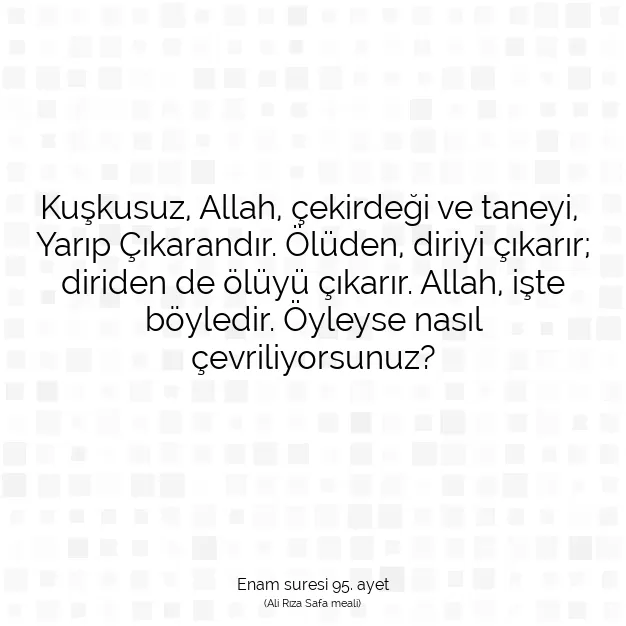 Ayetbul | Kuran Mealleri | Quran | Enam suresi 95. ayet