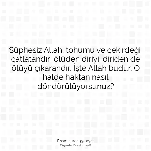 Ayetbul | Kuran Mealleri | Quran | Enam suresi 95. ayet