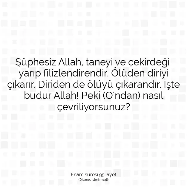 Ayetbul | Kuran Mealleri | Quran | Enam suresi 95. ayet