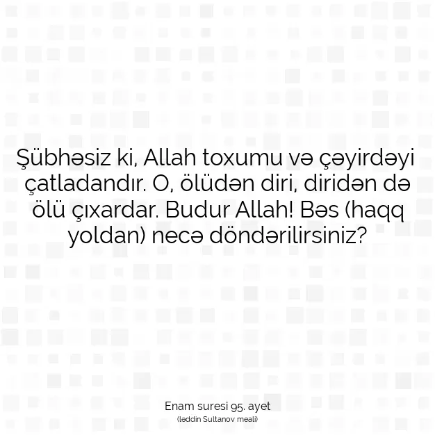 Ayetbul | Kuran Mealleri | Quran | Enam suresi 95. ayet