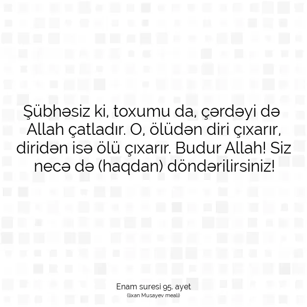 Ayetbul | Kuran Mealleri | Quran | Enam suresi 95. ayet