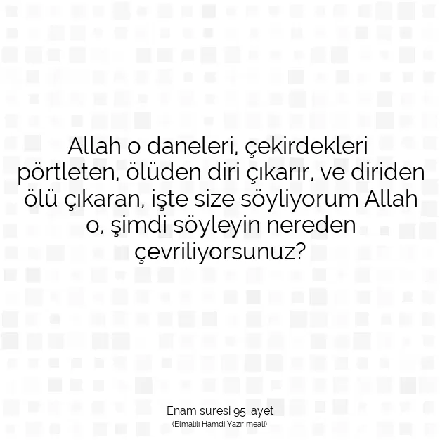 Ayetbul | Kuran Mealleri | Quran | Enam suresi 95. ayet