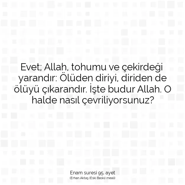 Ayetbul | Kuran Mealleri | Quran | Enam suresi 95. ayet