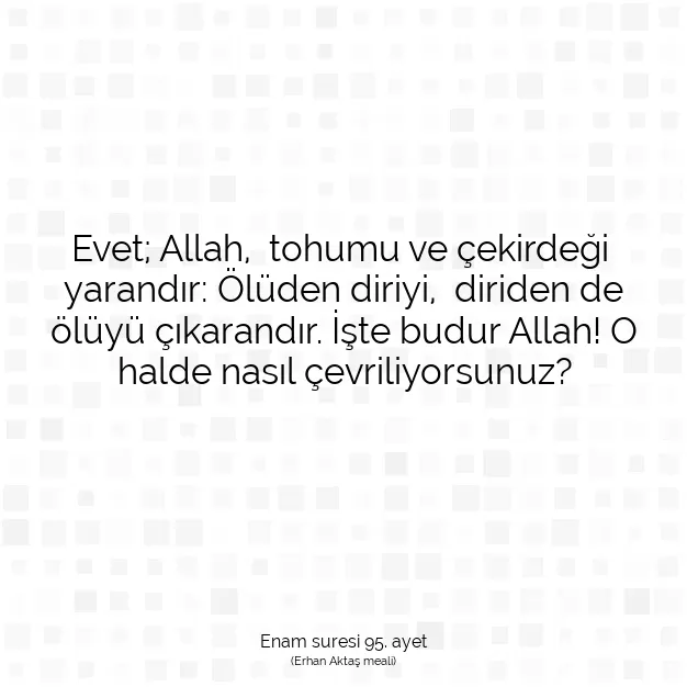 Ayetbul | Kuran Mealleri | Quran | Enam suresi 95. ayet