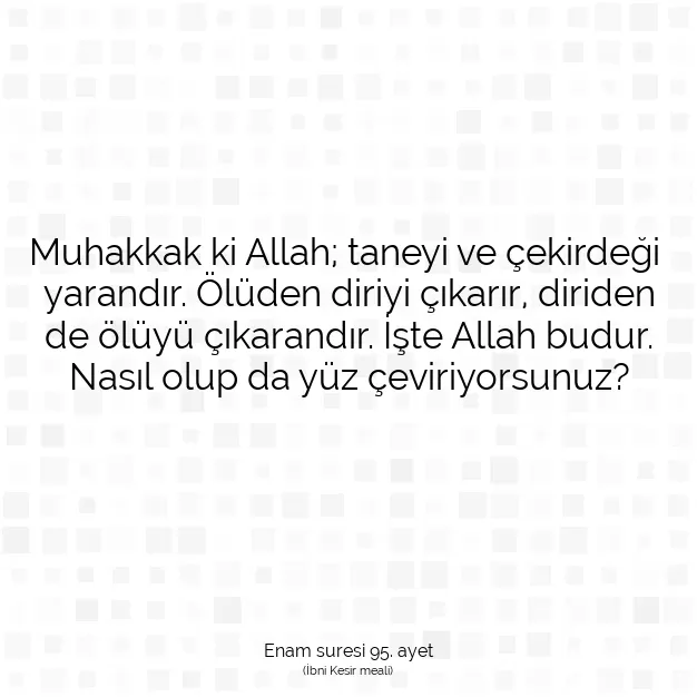 Ayetbul | Kuran Mealleri | Quran | Enam suresi 95. ayet