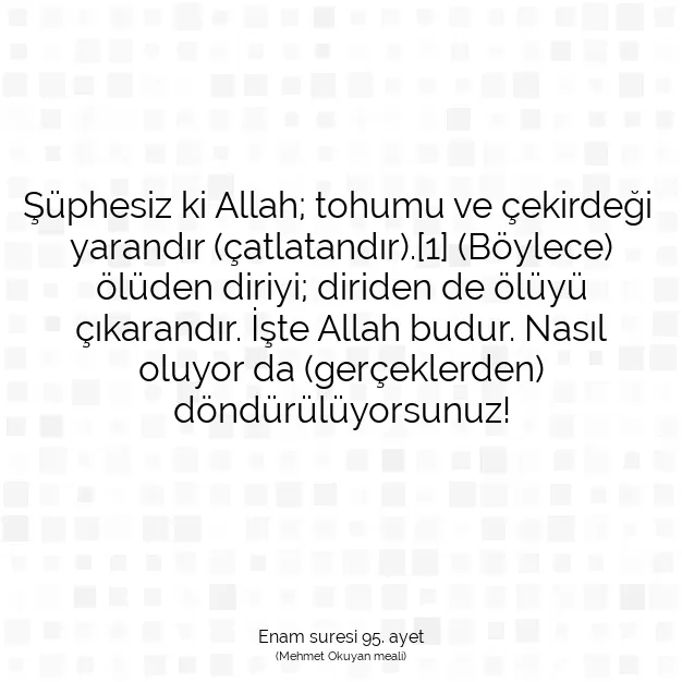 Ayetbul | Kuran Mealleri | Quran | Enam suresi 95. ayet