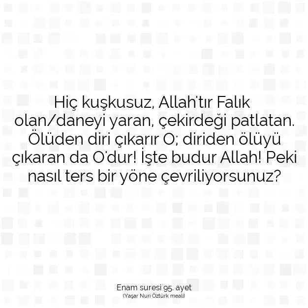 Ayetbul | Kuran Mealleri | Quran | Enam suresi 95. ayet