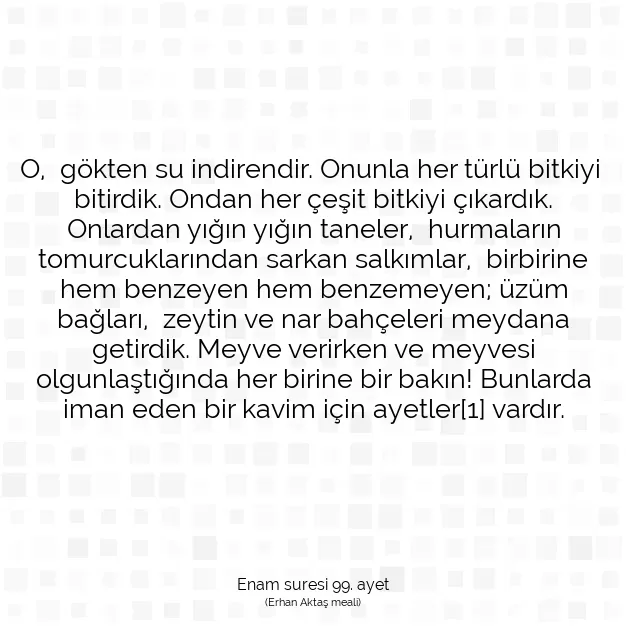 Ayetbul | Kuran Mealleri | Quran | Enam suresi 99. ayet