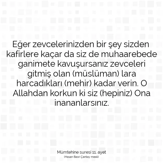 Ayetbul | Kuran Mealleri | Quran | Mümtehine suresi 11. ayet