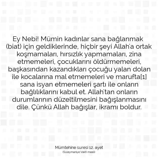 Ayetbul | Kuran Mealleri | Quran | Mümtehine suresi 12. ayet