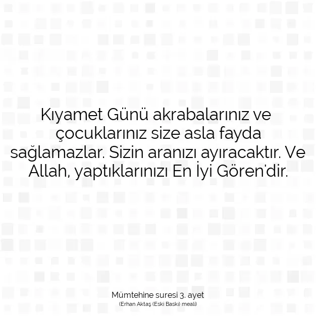 Ayetbul | Kuran Mealleri | Quran | Mümtehine suresi 3. ayet