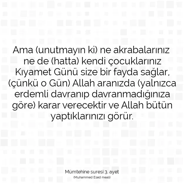 Ayetbul | Kuran Mealleri | Quran | Mümtehine suresi 3. ayet