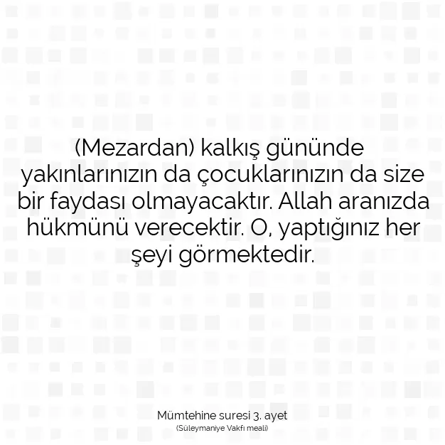 Ayetbul | Kuran Mealleri | Quran | Mümtehine suresi 3. ayet