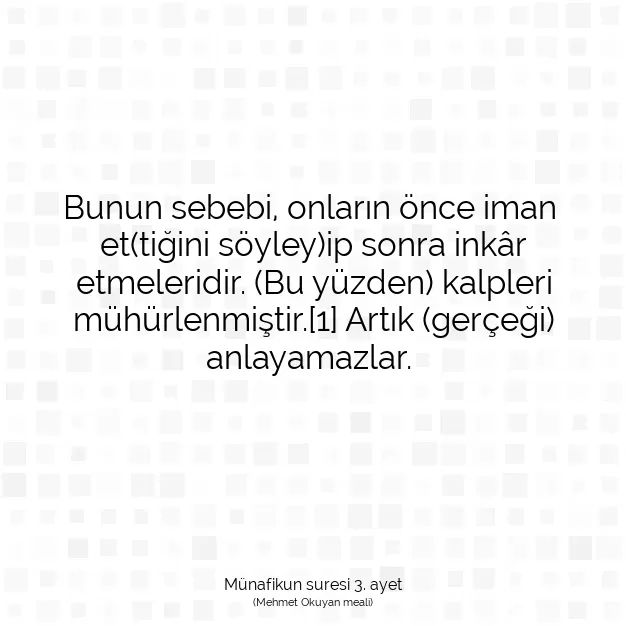 Ayetbul | Kuran Mealleri | Quran | Münafikun suresi 3. ayet