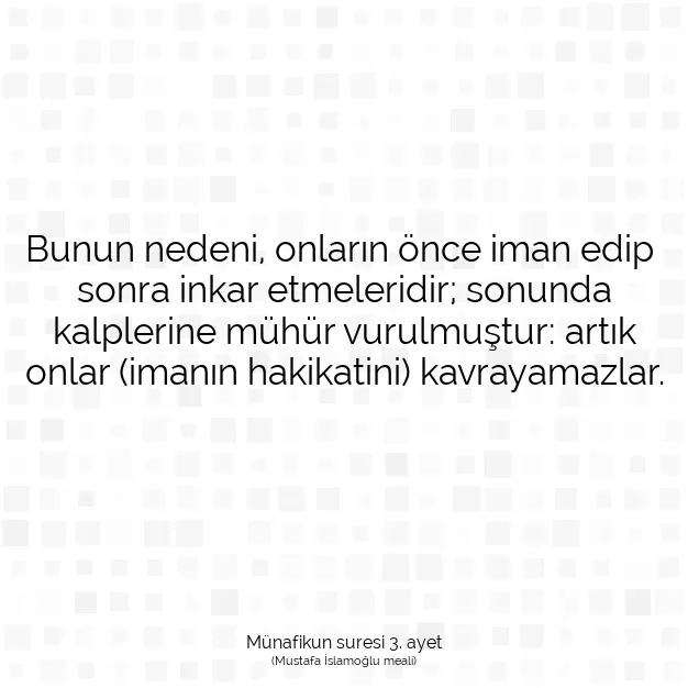 Ayetbul | Kuran Mealleri | Quran | Münafikun suresi 3. ayet