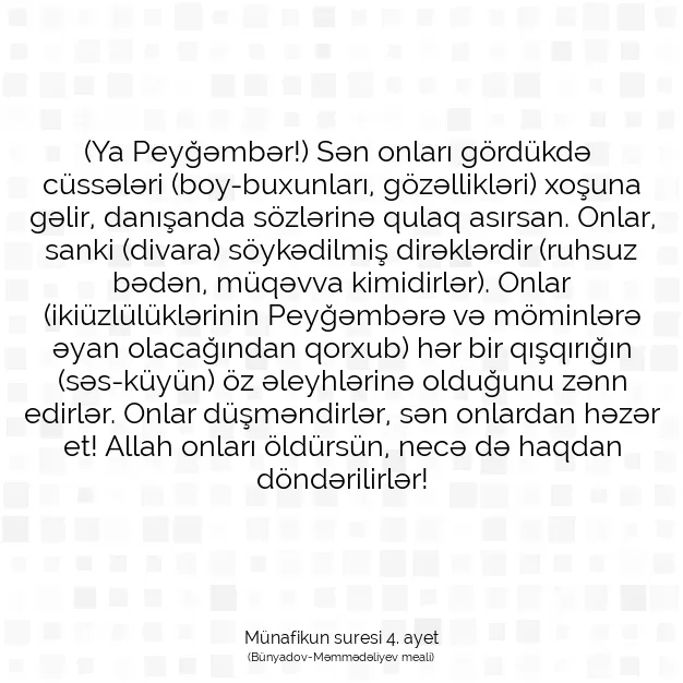 Ayetbul | Kuran Mealleri | Quran | Münafikun suresi 4. ayet