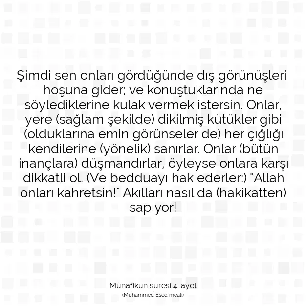 Ayetbul | Kuran Mealleri | Quran | Münafikun suresi 4. ayet