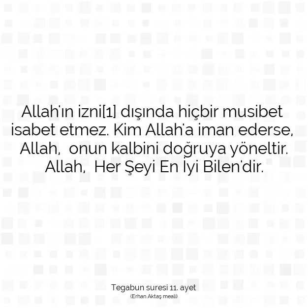 Ayetbul | Kuran Mealleri | Quran | Tegabun suresi 11. ayet