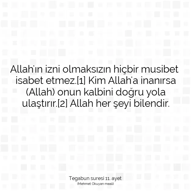 Ayetbul | Kuran Mealleri | Quran | Tegabun suresi 11. ayet