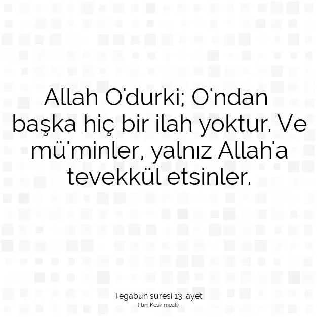 Ayetbul | Kuran Mealleri | Quran | Tegabun suresi 13. ayet