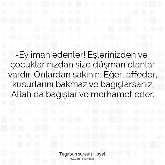 Ayetbul | Kuran Mealleri | Quran | Tegabun suresi 14. ayet