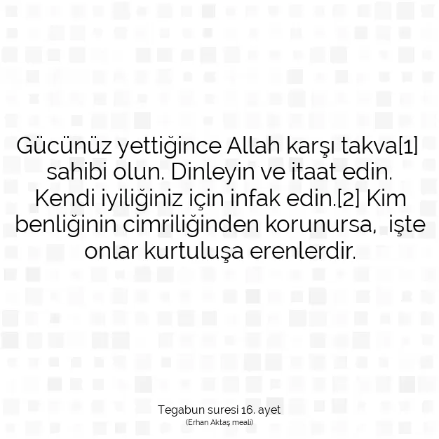 Ayetbul | Kuran Mealleri | Quran | Tegabun suresi 16. ayet