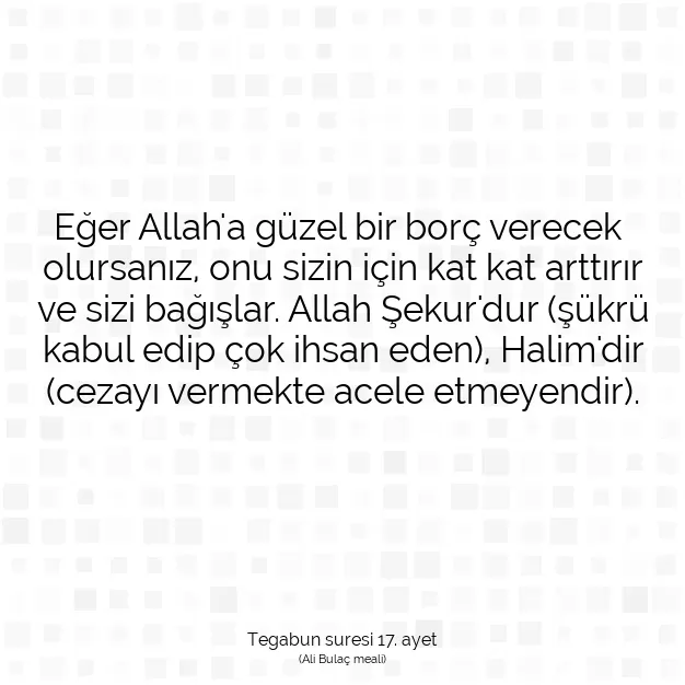 Ayetbul | Kuran Mealleri | Quran | Tegabun suresi 17. ayet