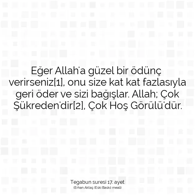 Ayetbul | Kuran Mealleri | Quran | Tegabun suresi 17. ayet