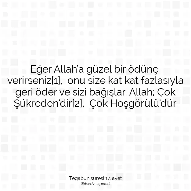 Ayetbul | Kuran Mealleri | Quran | Tegabun suresi 17. ayet