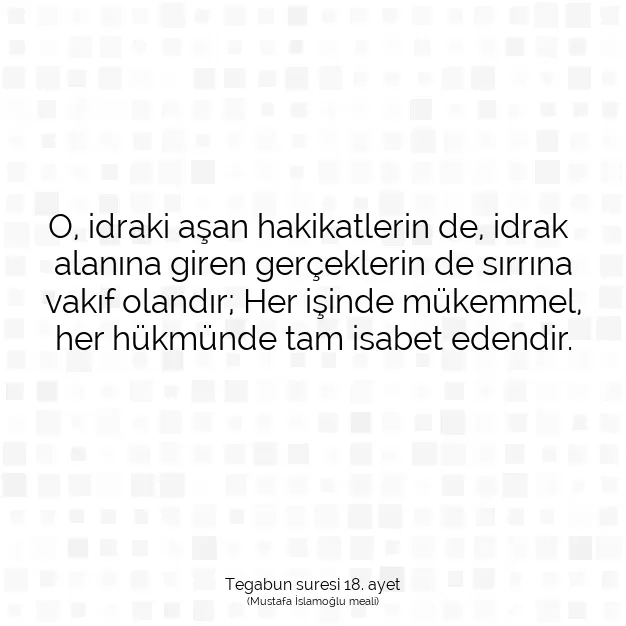 Ayetbul | Kuran Mealleri | Quran | Tegabun suresi 18. ayet