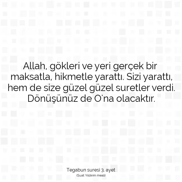 Ayetbul | Kuran Mealleri | Quran | Tegabun suresi 3. ayet