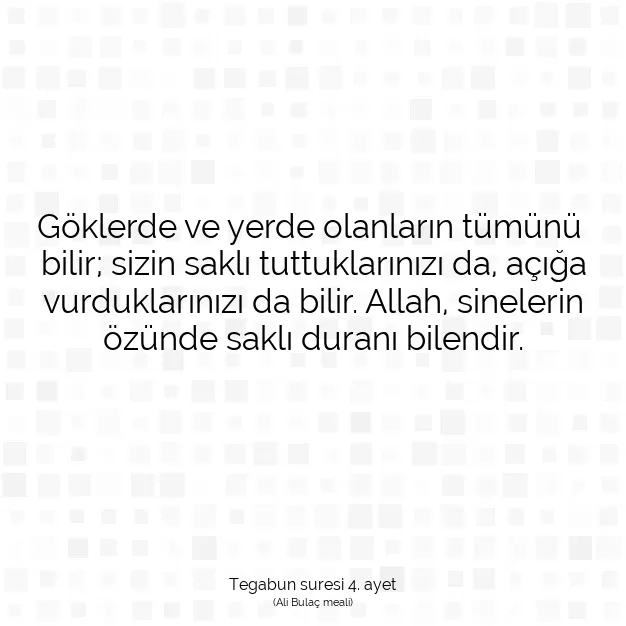 Ayetbul | Kuran Mealleri | Quran | Tegabun suresi 4. ayet