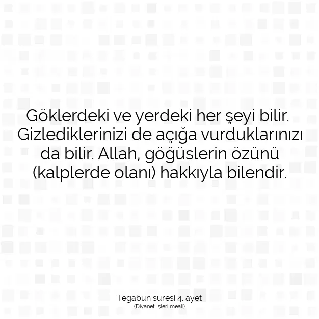 Ayetbul | Kuran Mealleri | Quran | Tegabun suresi 4. ayet