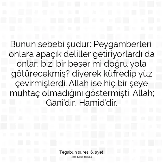 Ayetbul | Kuran Mealleri | Quran | Tegabun suresi 6. ayet