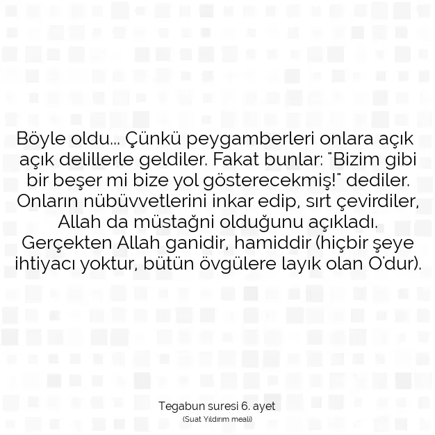 Ayetbul | Kuran Mealleri | Quran | Tegabun suresi 6. ayet