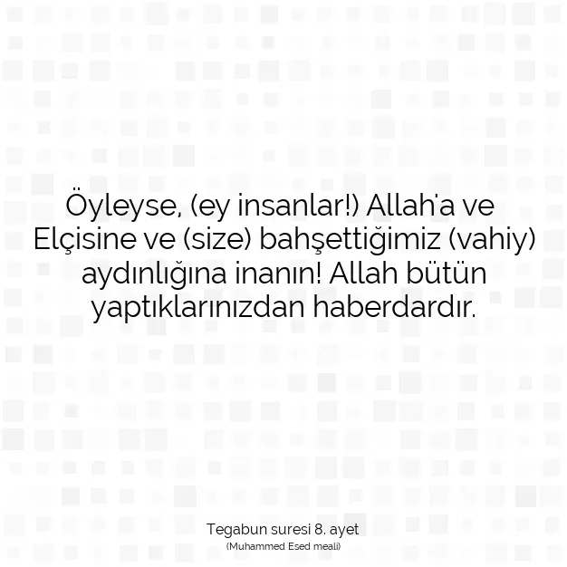 Ayetbul | Kuran Mealleri | Quran | Tegabun suresi 8. ayet