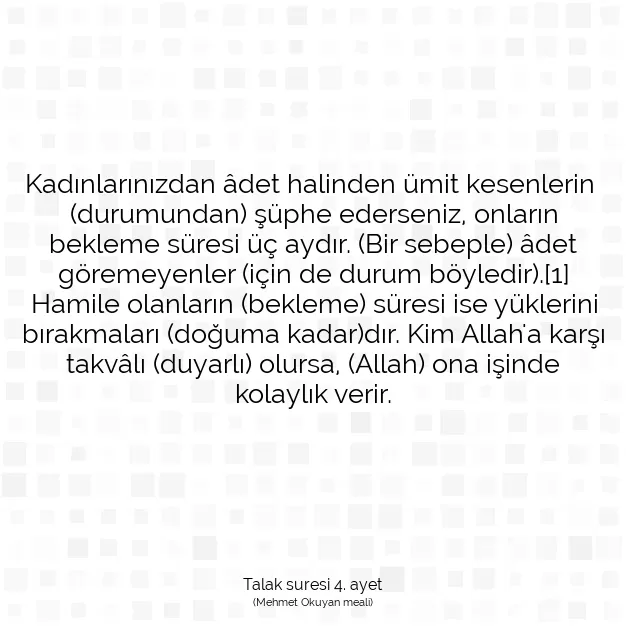 Ayetbul | Kuran Mealleri | Quran | Talak suresi 4. ayet