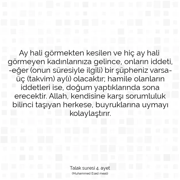 Ayetbul | Kuran Mealleri | Quran | Talak suresi 4. ayet