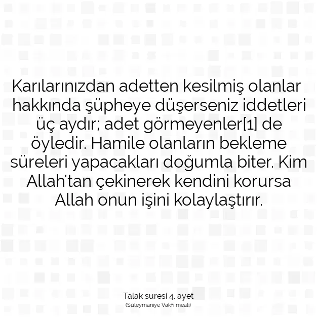 Ayetbul | Kuran Mealleri | Quran | Talak suresi 4. ayet