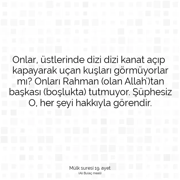 Ayetbul | Kuran Mealleri | Quran | Mülk suresi 19. ayet