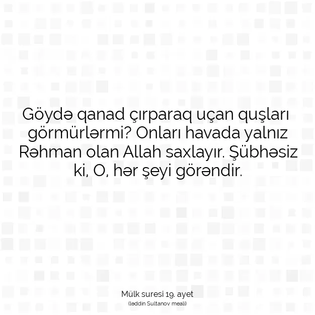 Ayetbul | Kuran Mealleri | Quran | Mülk suresi 19. ayet