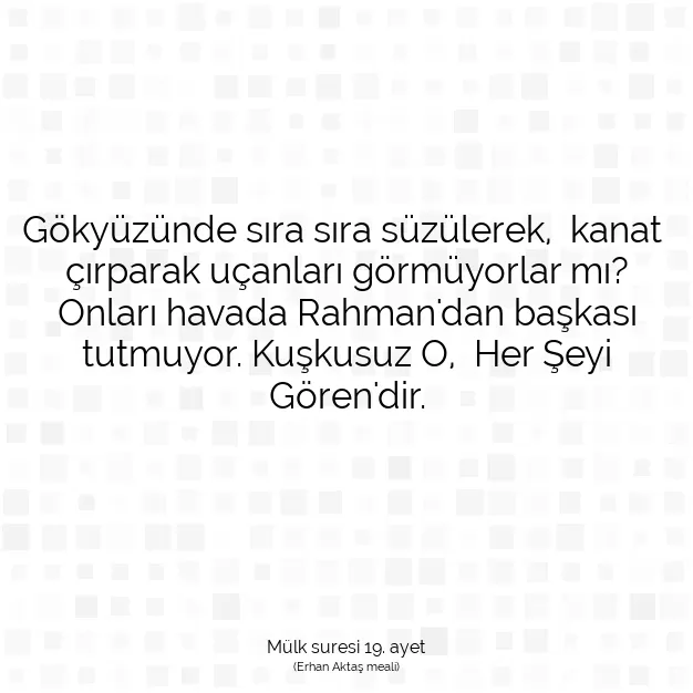 Ayetbul | Kuran Mealleri | Quran | Mülk suresi 19. ayet