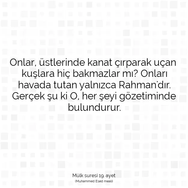 Ayetbul | Kuran Mealleri | Quran | Mülk suresi 19. ayet