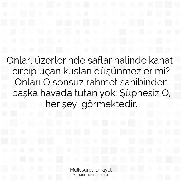 Ayetbul | Kuran Mealleri | Quran | Mülk suresi 19. ayet