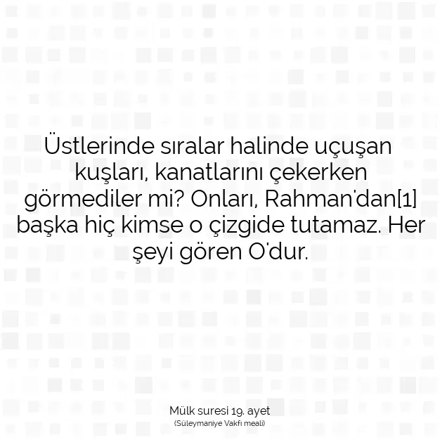 Ayetbul | Kuran Mealleri | Quran | Mülk suresi 19. ayet