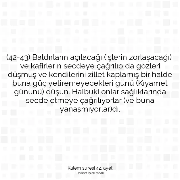 Ayetbul | Kuran Mealleri | Quran | Kalem suresi 42. ayet