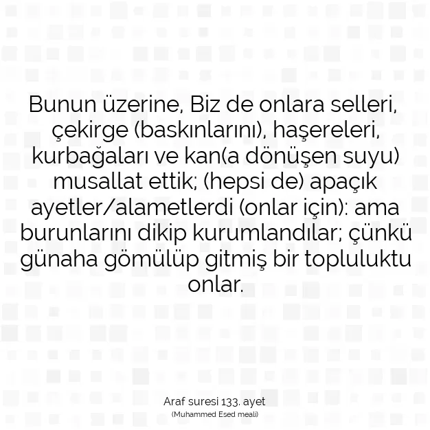 Ayetbul | Kuran Mealleri | Quran | Araf suresi 133. ayet